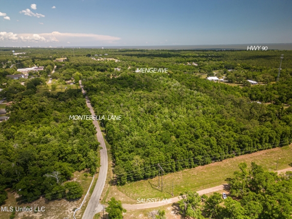 Listing Image #1 - Land for sale at 0 Montebella Road, Pass Christian MS 39571