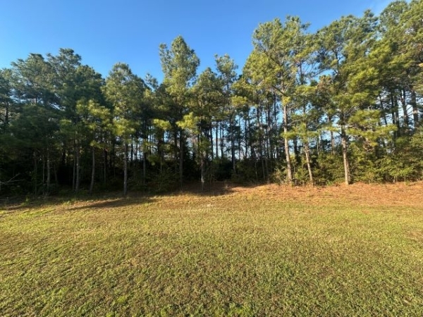 Listing Image #1 - Others for sale at TBD DPS Road, Nacogdoches TX 75964
