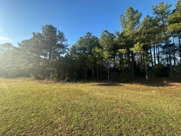 Listing Image #2 - Others for sale at TBD DPS Road, Nacogdoches TX 75964