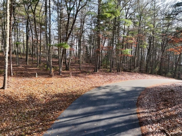 Listing Image #3 - Land for sale at Lot 20 Fox Lake, Blairsville GA 30512
