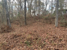 Land property for sale in Springville, TN