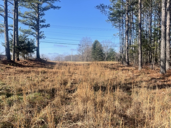 Listing Image #2 - Others for sale at 0 Prosser Road E, Lawrenceburg TN 38464