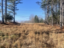 Listing Image #2 - Others for sale at 0 Prosser Road E, Lawrenceburg TN 38464