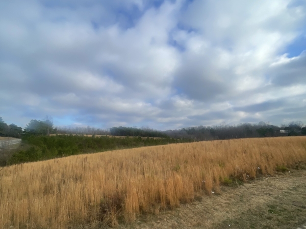 Listing Image #2 - Others for sale at 0 South Locust Avenue S, Lawrenceburg TN 38464