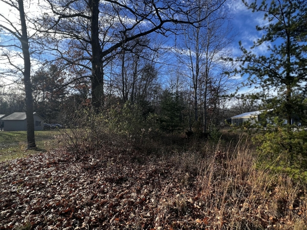 Listing Image #3 - Others for sale at 4732 S Straits Highway, Indian River MI 49749
