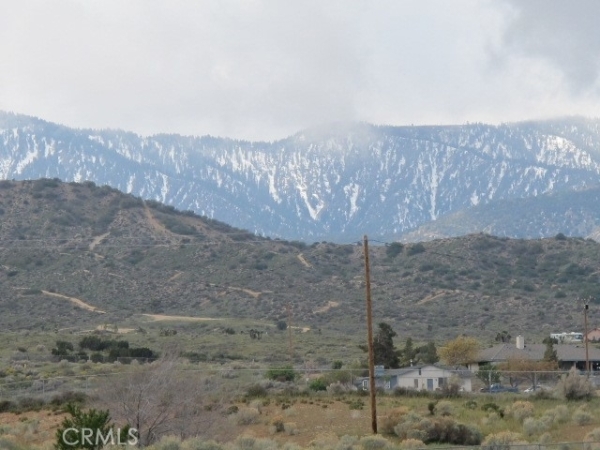 Listing Image #2 - Land for sale at 0 Ailanthus Street, Phelan CA 92371