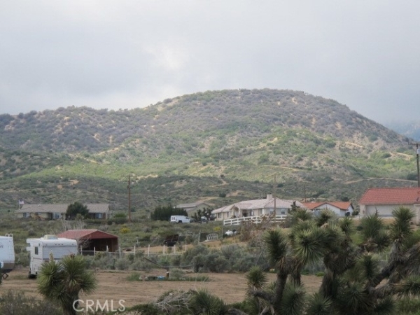 Listing Image #3 - Land for sale at 0 Ailanthus Street, Phelan CA 92371