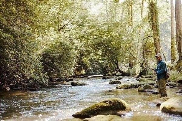 Listing Image #1 - Land for sale at 508 Ed Graves Road, Murphy NC 28906