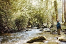Land property for sale in Murphy, NC