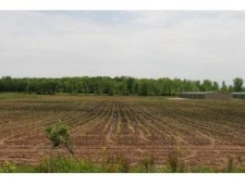 Listing Image #3 - Land for sale at 3410 HWY 29, GREEN BAY WI 54311