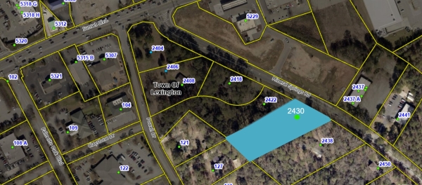Listing Image #2 - Others for sale at 2430 Mineral Springs Road, Lexington SC 29072