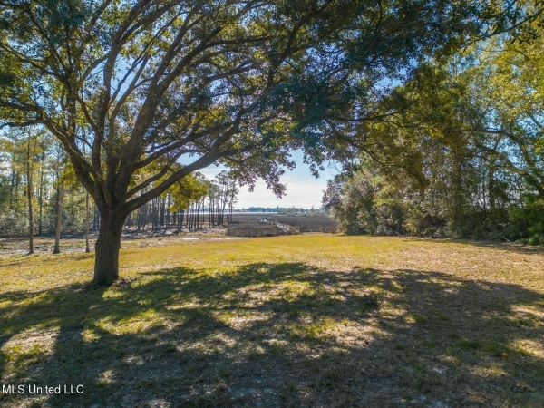Listing Image #2 - Land for sale at 1547 Brodie Road, Biloxi MS 39532