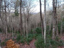 Land property for sale in Mineral Bluff, GA