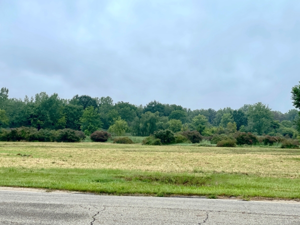 Listing Image #1 - Land for sale at Munson St. NW, Canton OH 44718