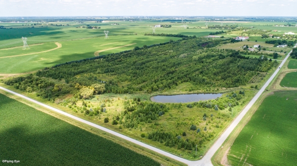 Listing Image #1 - Others for sale at 000 NW Corner of Barr and Scheer Rd., Peotone IL 60475