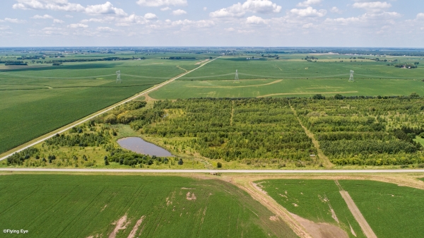 Listing Image #2 - Others for sale at 000 NW Corner of Barr and Scheer Rd., Peotone IL 60475