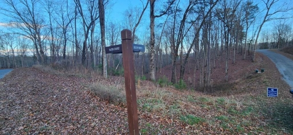 Listing Image #3 - Land for sale at Lot 88 Hilton Drive, Ellijay GA 30540