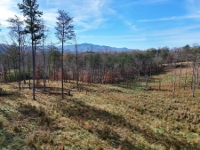 Land property for sale in Warne, NC