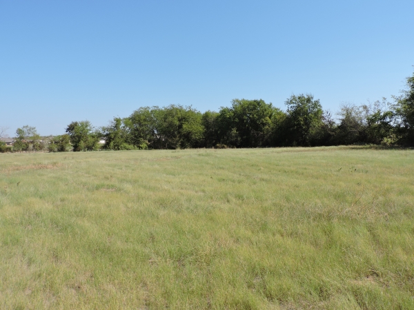 Listing Image #2 - Land for sale at 01 S St Hwy 198, Mabank TX 75147