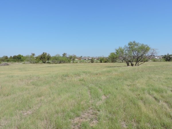 Listing Image #3 - Land for sale at 02 S St Hwy 198, Mabank TX 75147