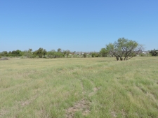 Listing Image #3 - Land for sale at 02 S St Hwy 198, Mabank TX 75147