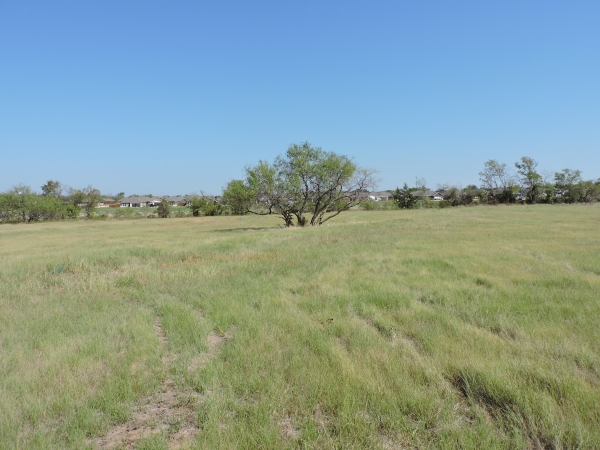 Listing Image #3 - Land for sale at 03 S St Hwy 198, Mabank TX 75147