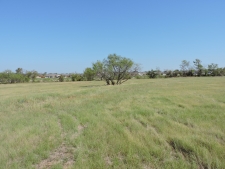 Listing Image #3 - Land for sale at 03 S St Hwy 198, Mabank TX 75147