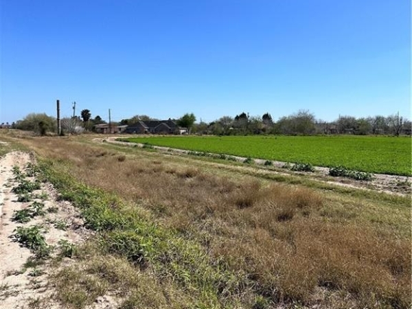 Listing Image #2 - Land for sale at 4810 Cesar Chavez Road, Edinburg TX 78542