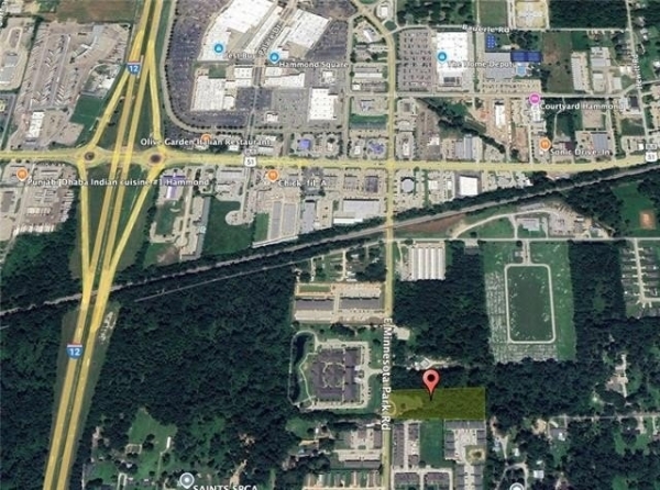 Listing Image #3 - Others for sale at 16195 E MINNESOTA Park, Hammond LA 70403