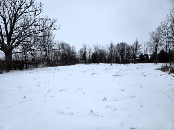 Listing Image #1 - Others for sale at 0 Downey Road, Mussey Twp. MI 48014