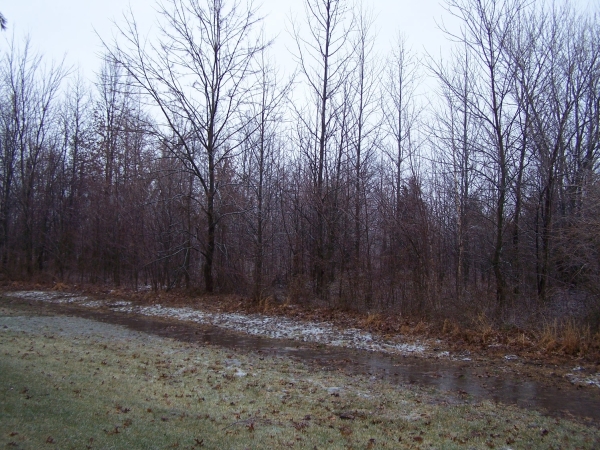 Listing Image #1 - Land for sale at 0000 Adams Drive, Marion IL 62959