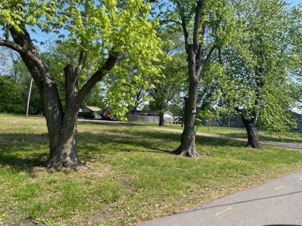 Listing Image #3 - Land for sale at 2100 Morgan Avenue, Marion IL 62959