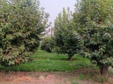 Others property for sale in Sunnyside, WA