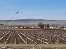 Listing Image #3 - Others for sale at Lester Rd, Sunnyside WA 98944