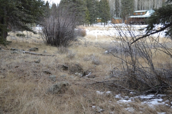 Listing Image #2 - Land for sale at 60 N 1270 W, Panguitch Lake UT 84759