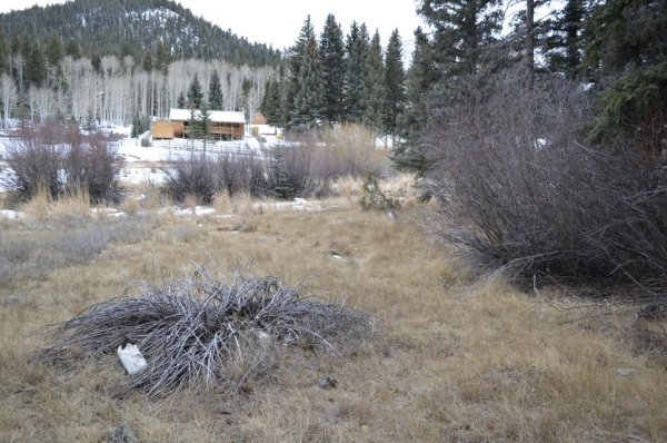 Listing Image #3 - Land for sale at 60 N 1270 W, Panguitch Lake UT 84759