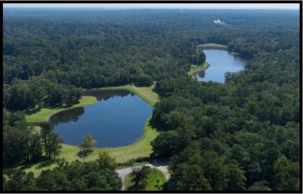 Listing Image #3 - Land for sale at 777 Bass Road, Macon GA 31210