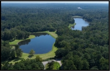 Listing Image #3 - Land for sale at 777 Bass Road, Macon GA 31210