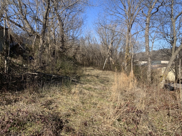 Listing Image #3 - Others for sale at 205 Front Street, Thayer MO 65791