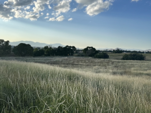 Listing Image #1 - Land for sale at 1400 E 11600 N, Richmond UT 84333