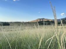 Listing Image #2 - Land for sale at 1400 E 11600 N, Richmond UT 84333