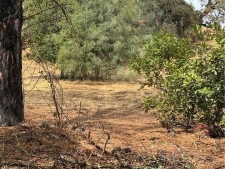Land property for sale in Clearlake Oaks, CA