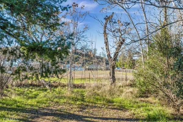 Listing Image #2 - Land for sale at 21265 Bush Street, Middletown CA 95461