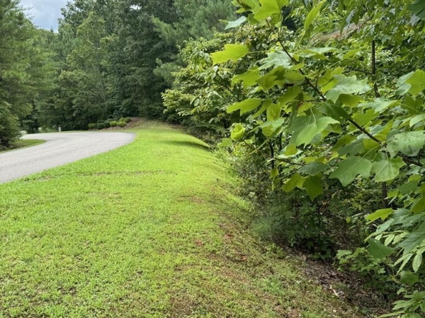 Listing Image #1 - Land for sale at LOT 5 Harris Creek Drive, Ellijay GA 30540