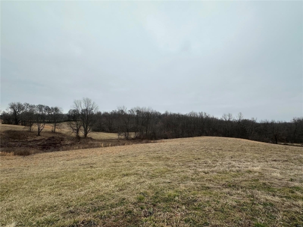 Listing Image #1 - Others for sale at 434 Whispering Wind Lane, Cape Girardeau MO 63701