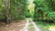 Listing Image #3 - Land for sale at 109 NC Highway N, Wadesboro NC 28170