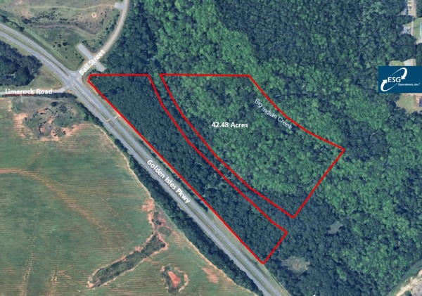 Listing Image #1 - Land for sale at 42.48 ac Golden Isles Pkwy, Perry GA 31069