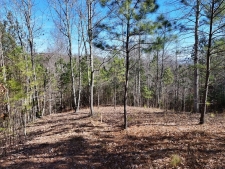 Land property for sale in Blairsville, GA