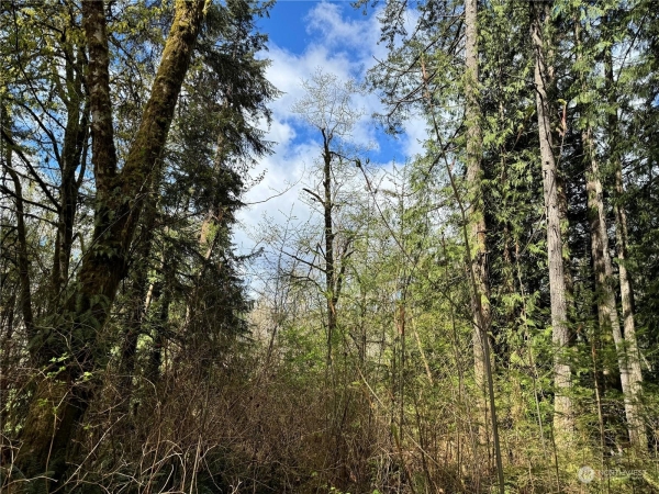 Listing Image #1 - Land for sale at 12512 WESTBROOK DRIVE SW, PORT ORCHARD WA 98367