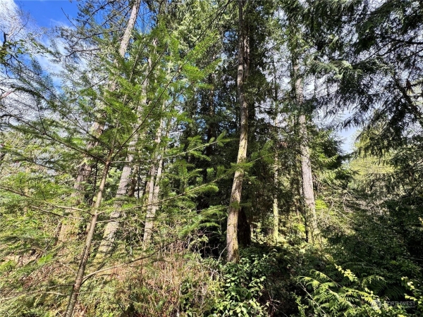 Listing Image #2 - Land for sale at 12512 WESTBROOK DRIVE SW, PORT ORCHARD WA 98367